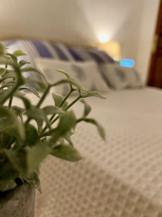 Apartament Luz Y Sencillez En El Centro Historico De Malaga Zewnętrze zdjęcie